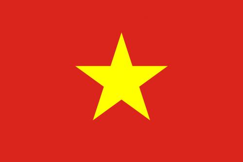Vietnam's flag